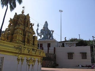 IMG_0743