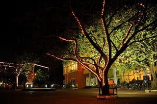 Food Court Lights