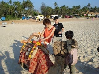 Malpe Beach Manipal Camel Ride