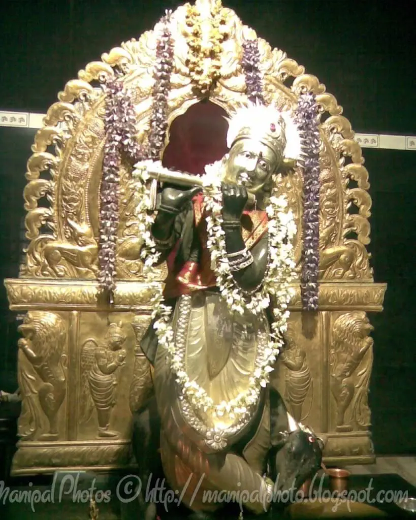 TheShriKrishnaIdolinFrontoftheVenug