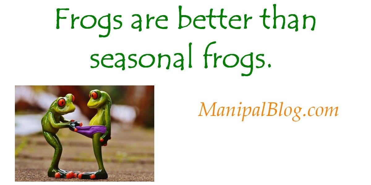 Frogs Quote Seasonal