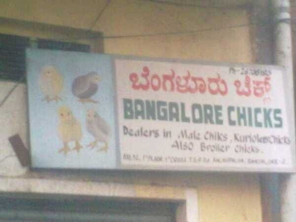 Bangalore Chicks are Hot21