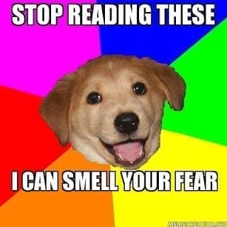 Stop reading these i can smell your fear