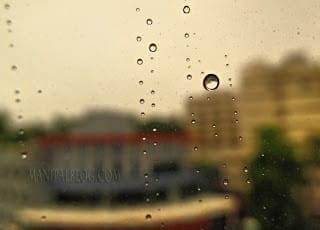 IMG_0254-DXO-copy-1