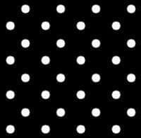 black white polka dots 1