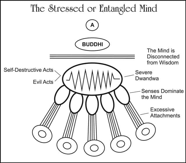 Gita on Possessiveness and Stress Gita-on-Possessiveness-and-Stress