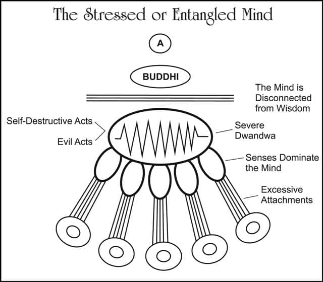 Gita-on-Possessiveness-and-Stress