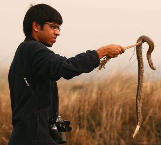 Ramit Singal - With a Red Sand Boa Ramit-Singal-With-a-Red-Sand-Boa