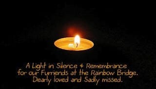 Sorrow and Remembrance Sorrow-and-Remembrance