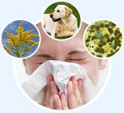 Allergies1