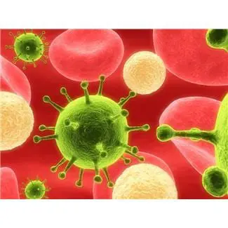 Virus Common Cold Virus Common Cold