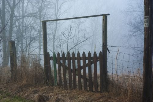 Gate-Mist