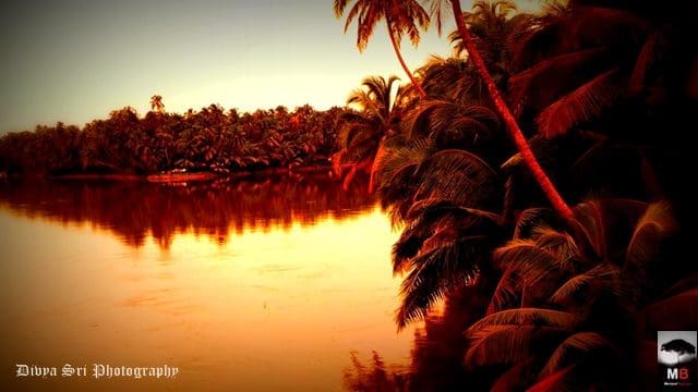 20130728_103507