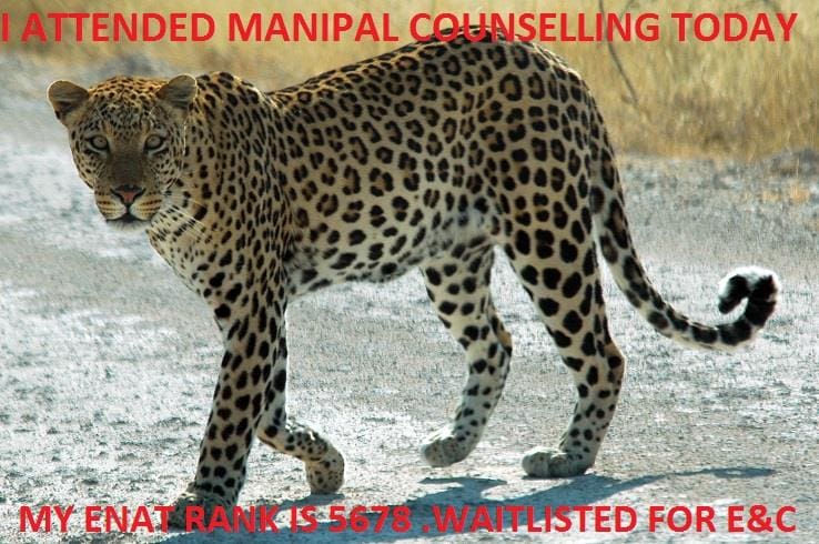 Manipal Leopard Counseling MBBS Engineering Manipal Leopard