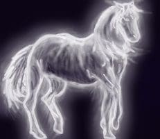 ghost horse by barkingmadcaz d4ubtim
