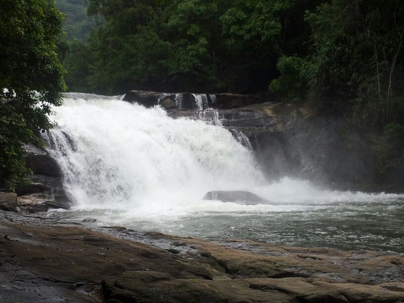 Thommankuthu Water Falls is a hidden gem for trekking lovers