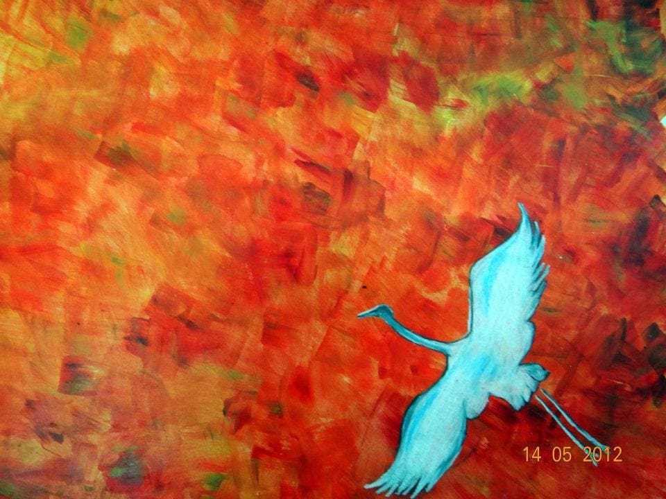 Many Birds . . . So Many Reasons! 8 156493_449940208352939_1164979678_n