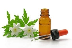 Herbs in Medicine