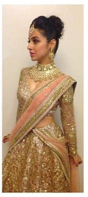 Full Sleeved Blouse Saree Lehenga