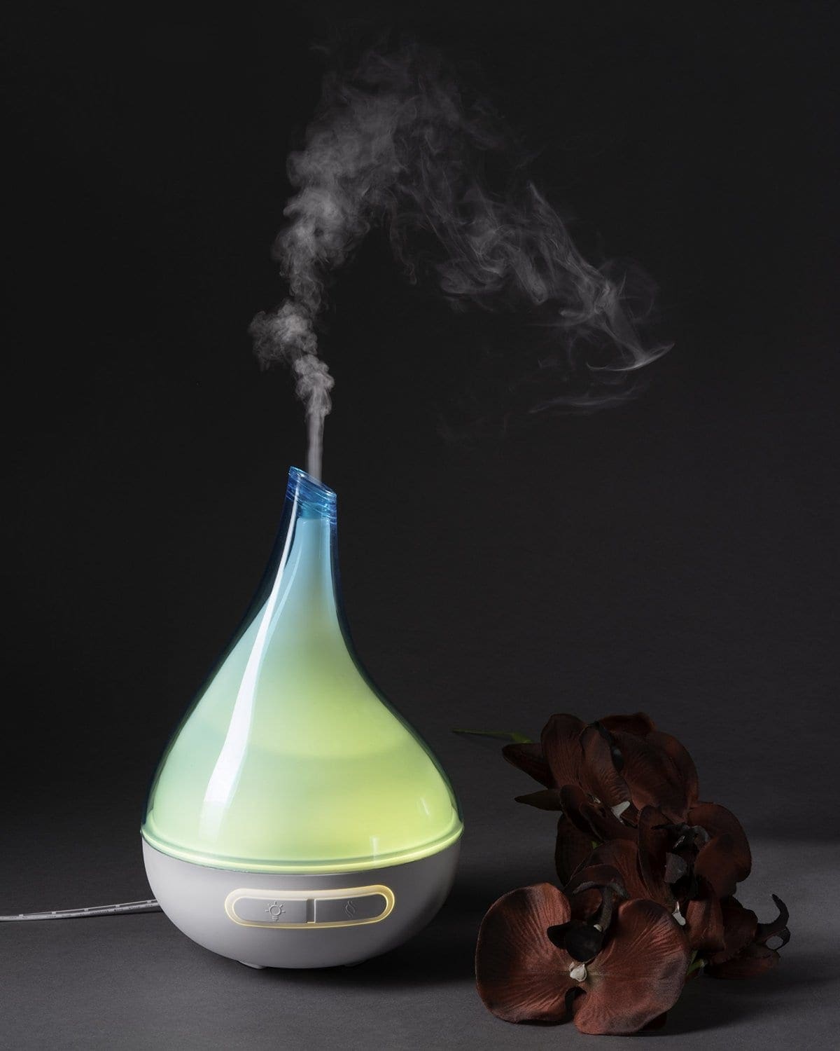oil1 oil diffuser