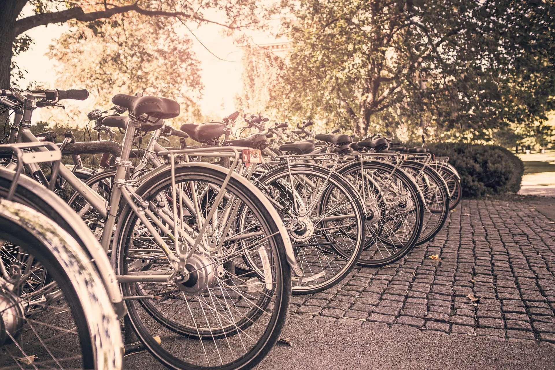 cycle to college