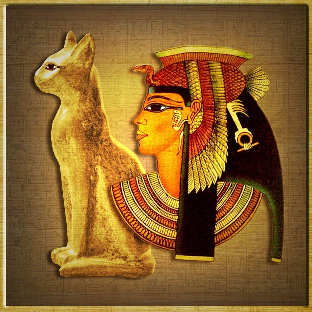 Cleopatra's Cat by Paree