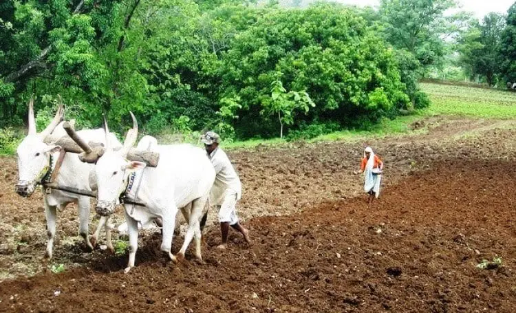 Plowing fields