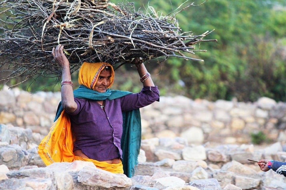 Rural Woman with logs
