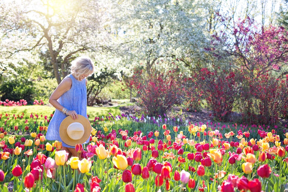 Spring garden