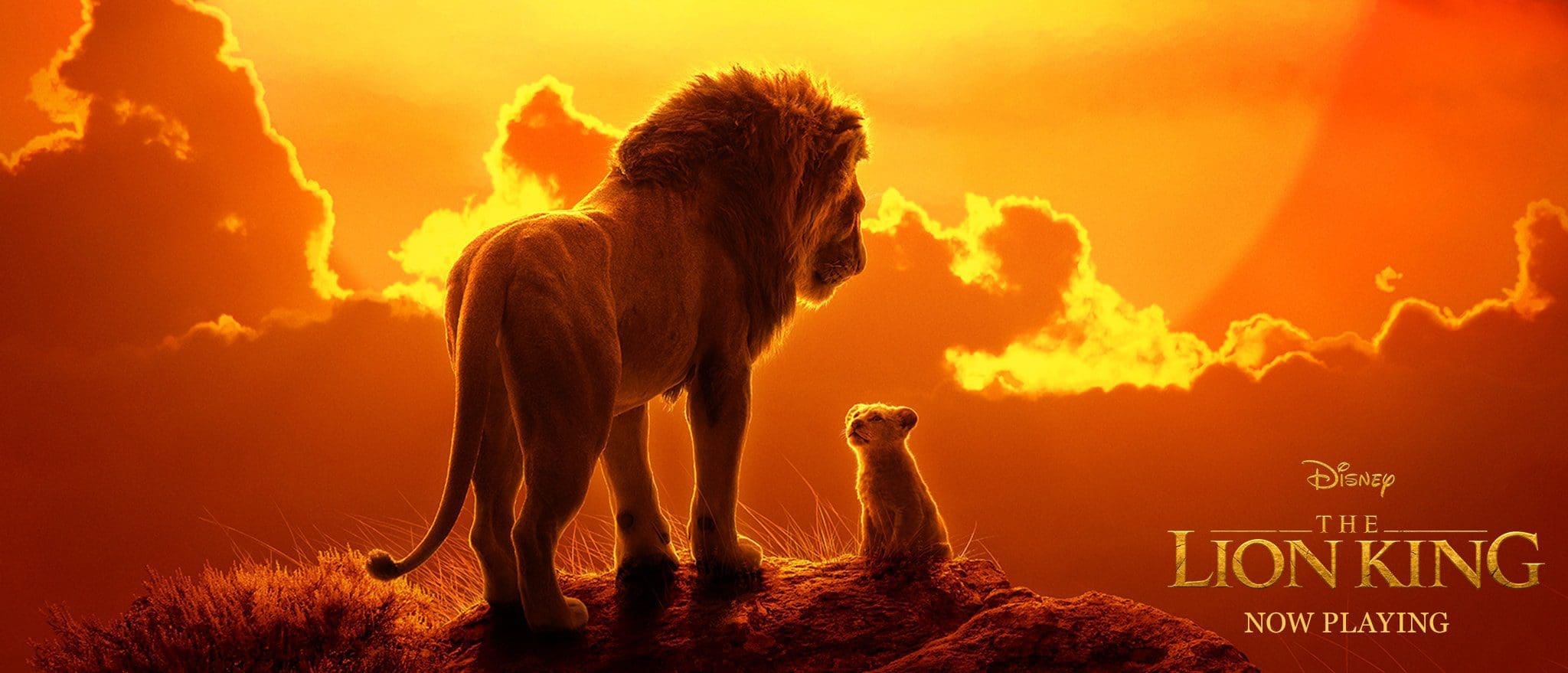 B Thelionking2019 Header Nowplaying 18094 28389be8