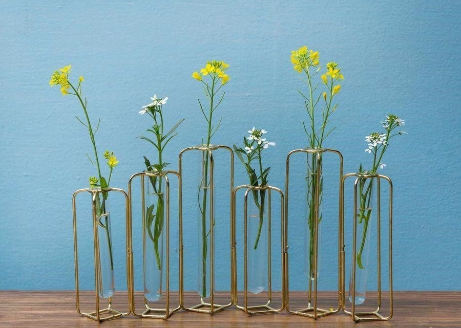 Test Tube Vase (set Of 6)