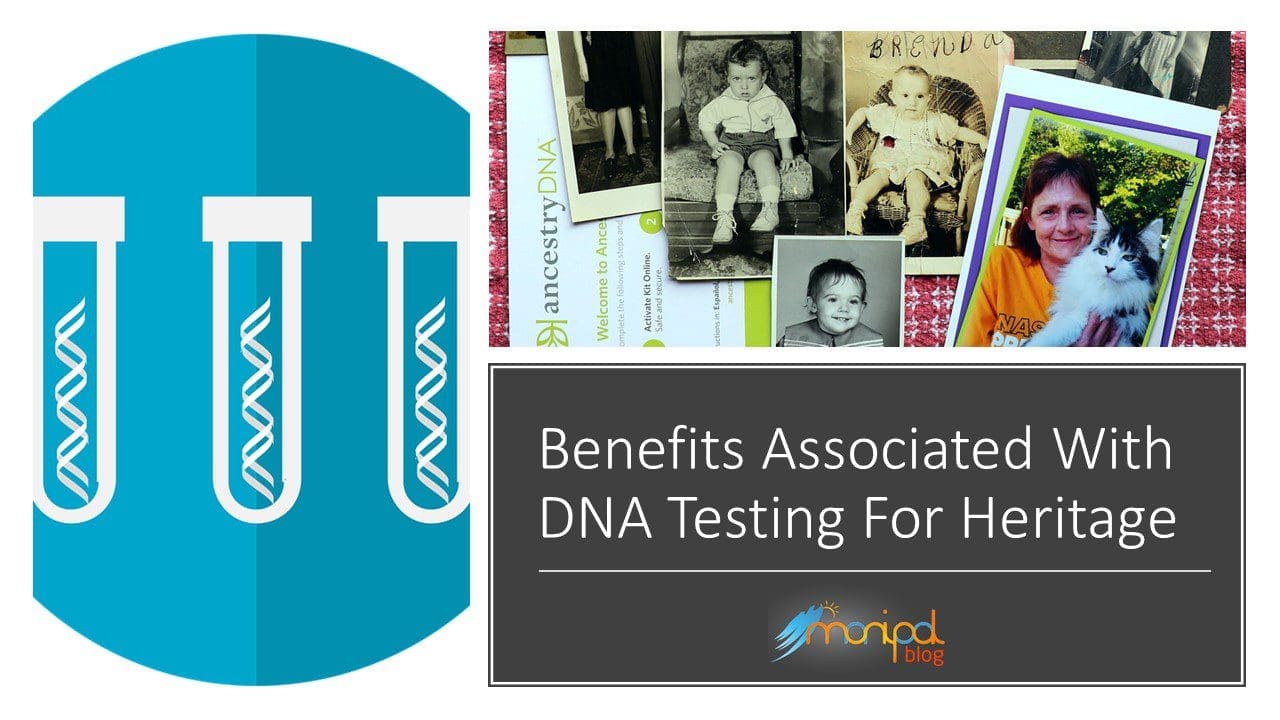 DNA Testing DNA Testing