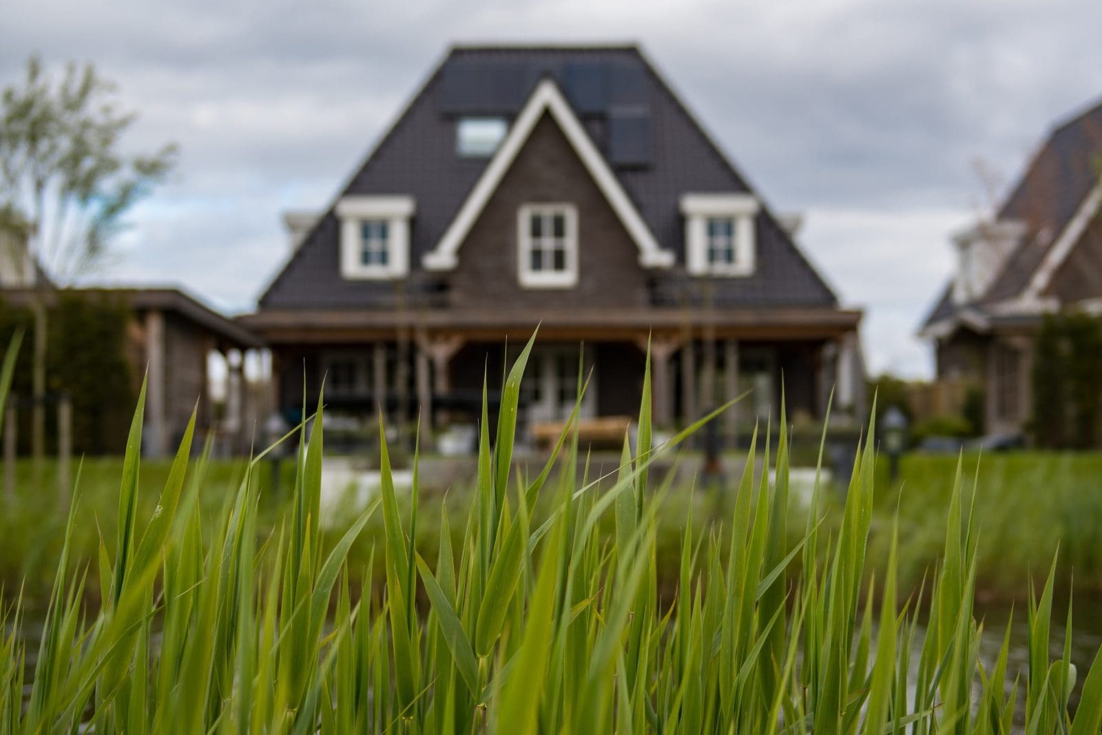 house with yard