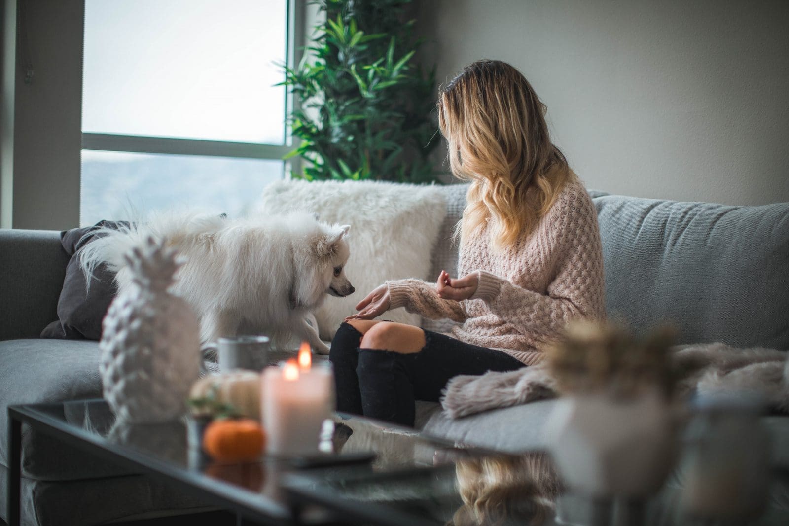 Stress Free Home Stress-Free Home environment