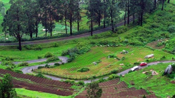 ooty-south india