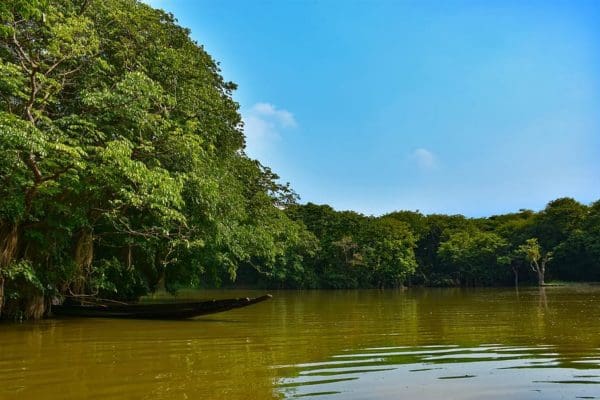 sylhet-ratargul-bangladesh-water-river-sundarbans