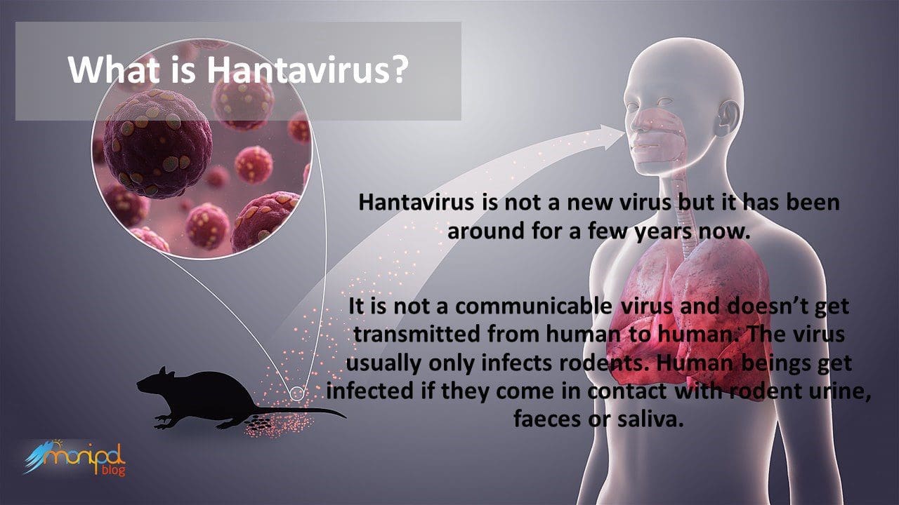 What is hantavirus