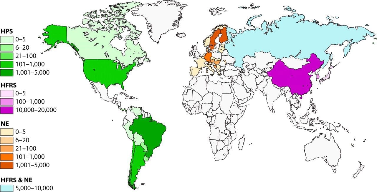 distribution of hantavirus