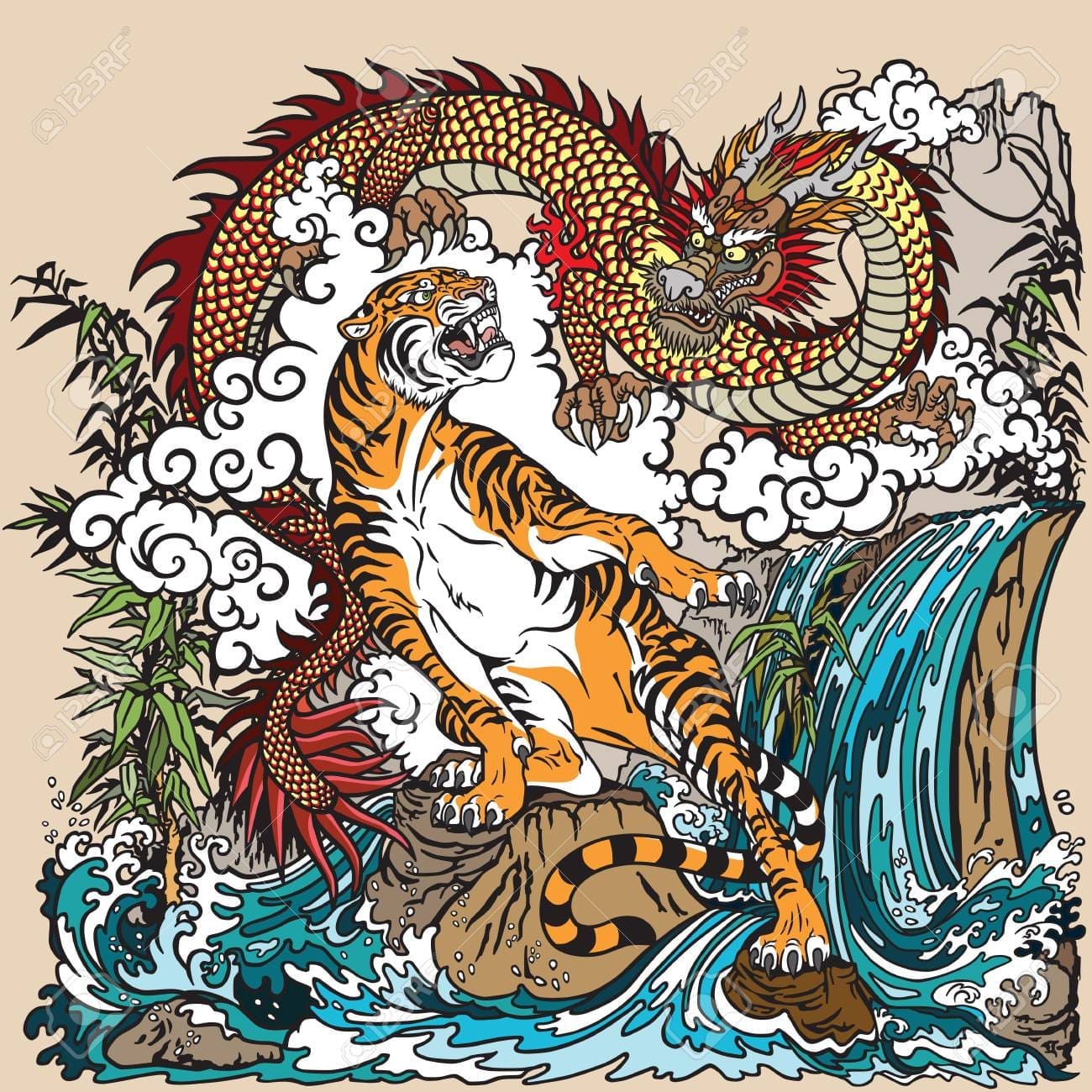 pangong tso dragon and tiger face off