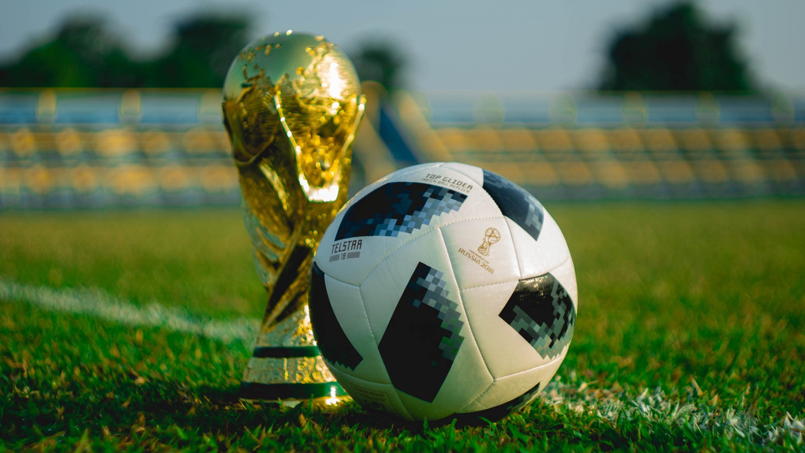 soccer ball beside trophy on soccer field soccer books you will love
