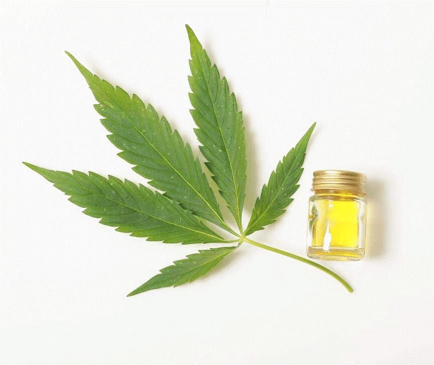marijuana leaf cbd oil