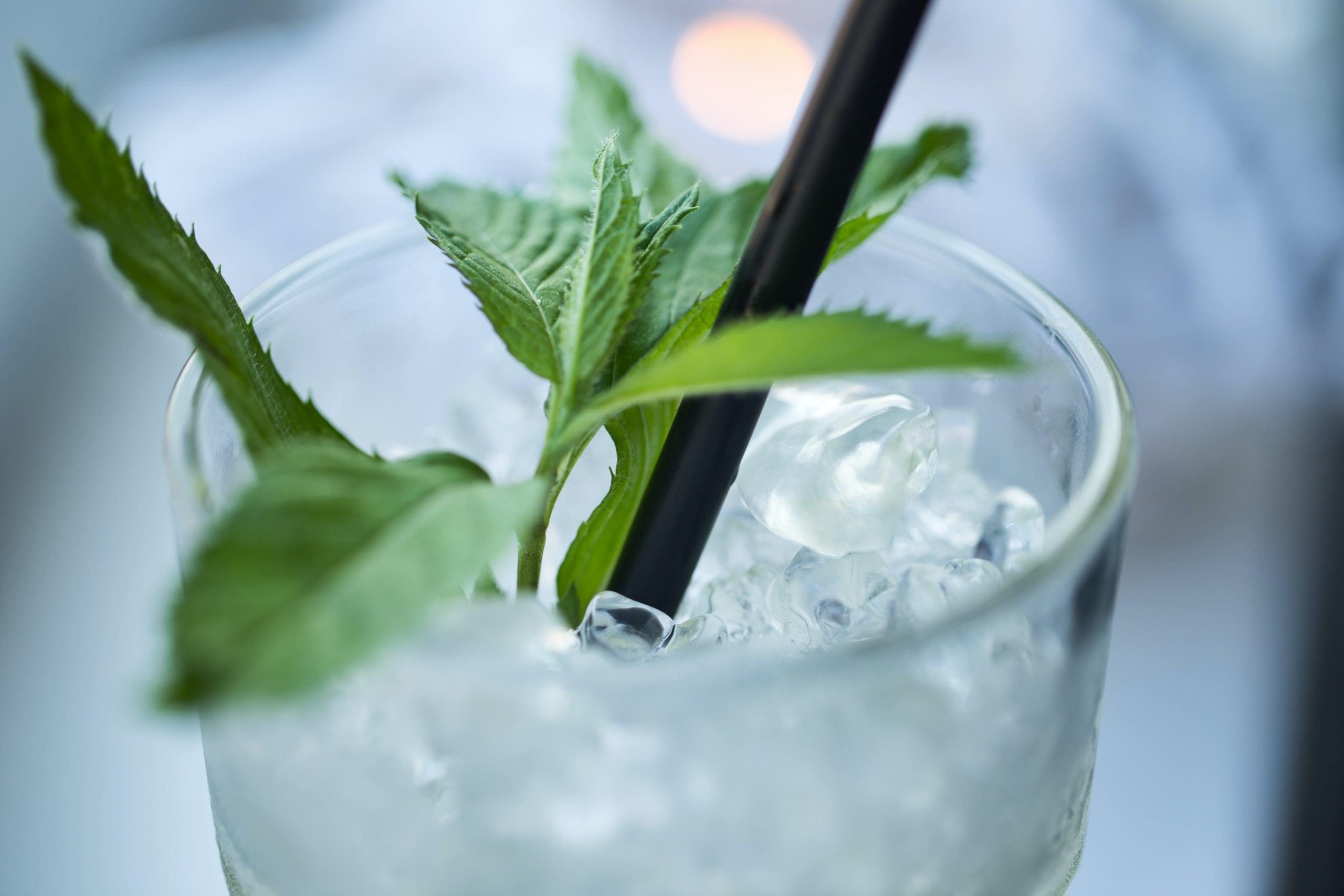 closeup photo of green plant in drinking glass cbd drinks