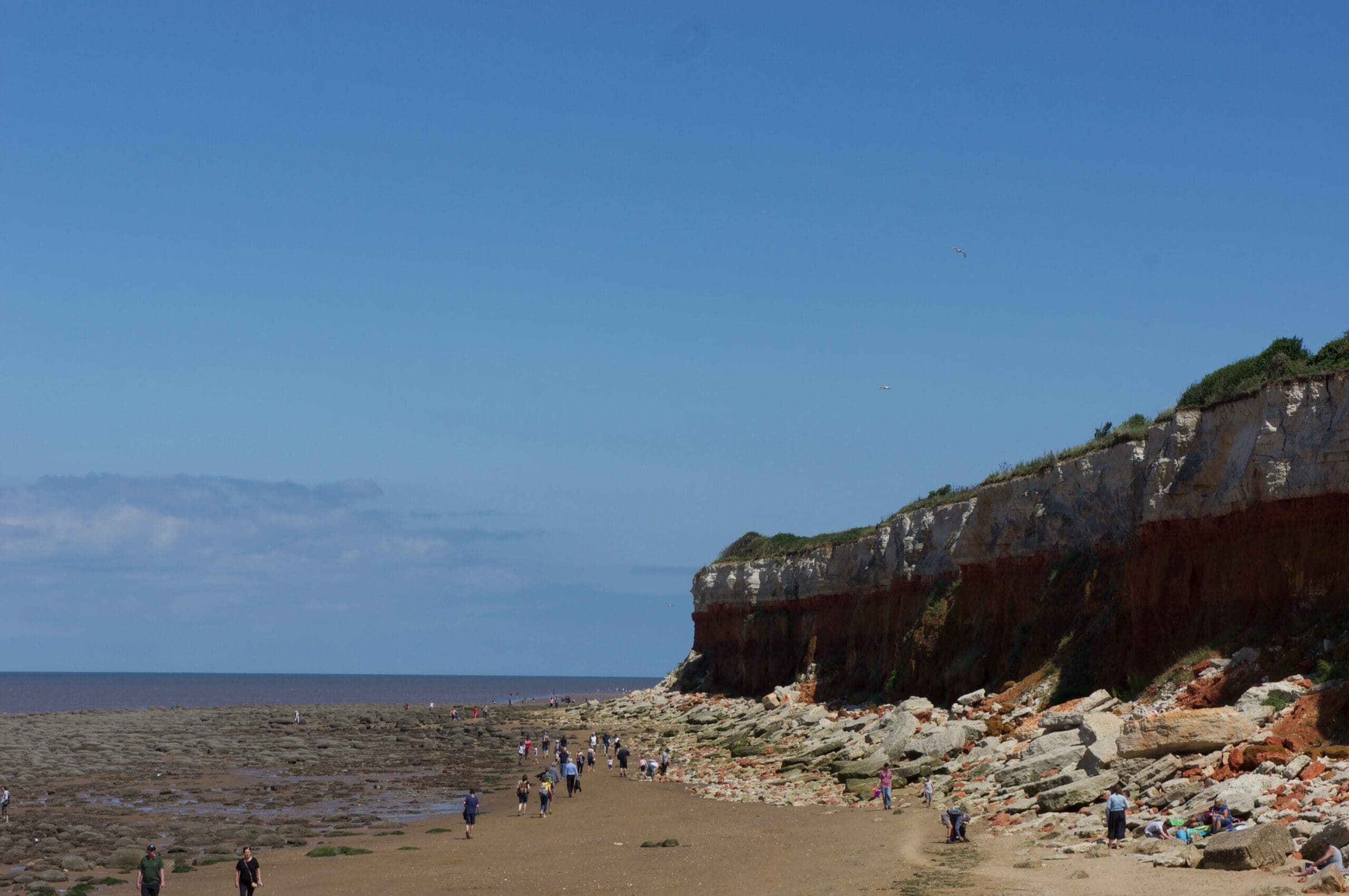 people on beach during daytime ocean pollution