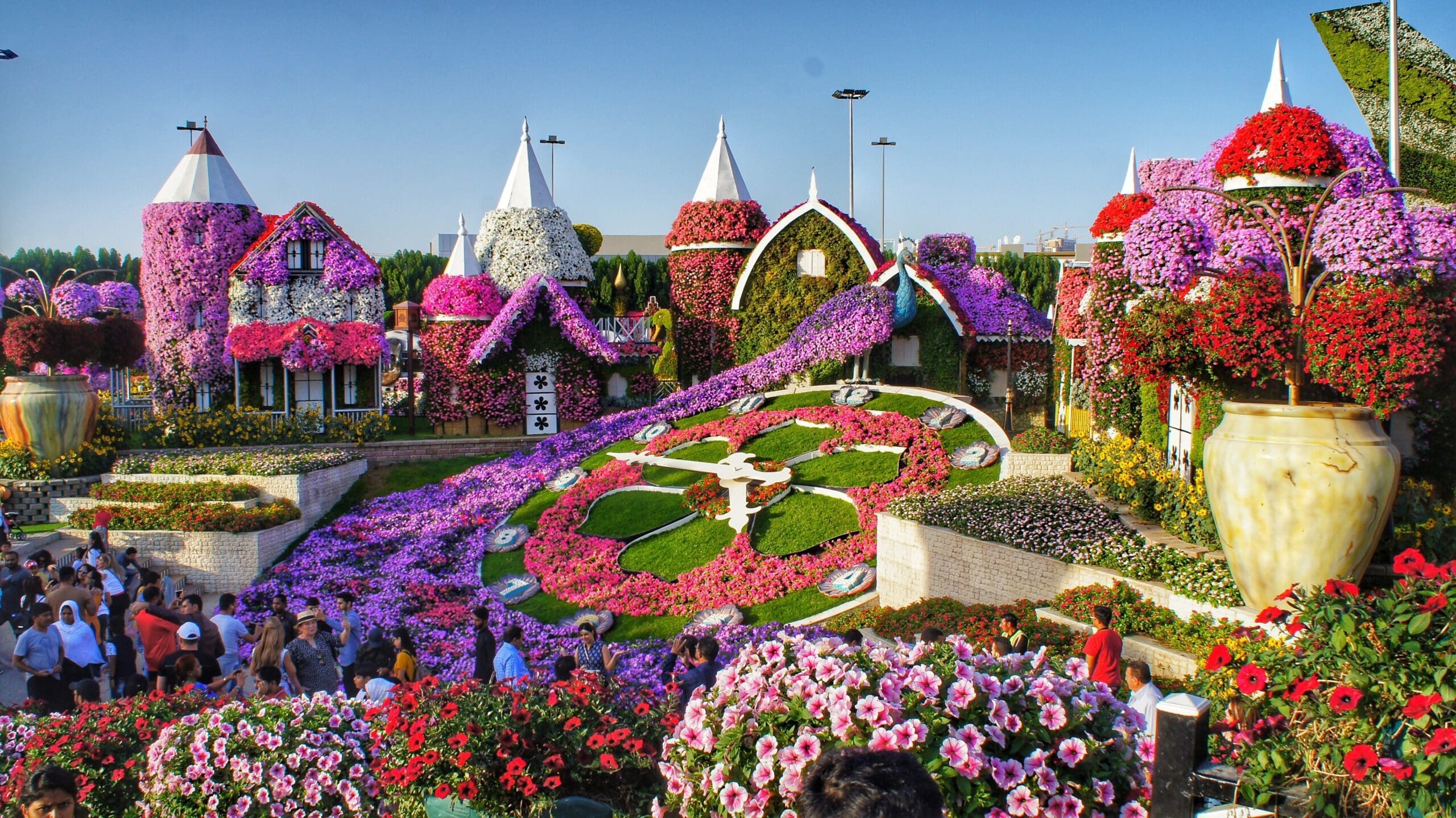 purple and white flower garden flower garden miracle garden dubai