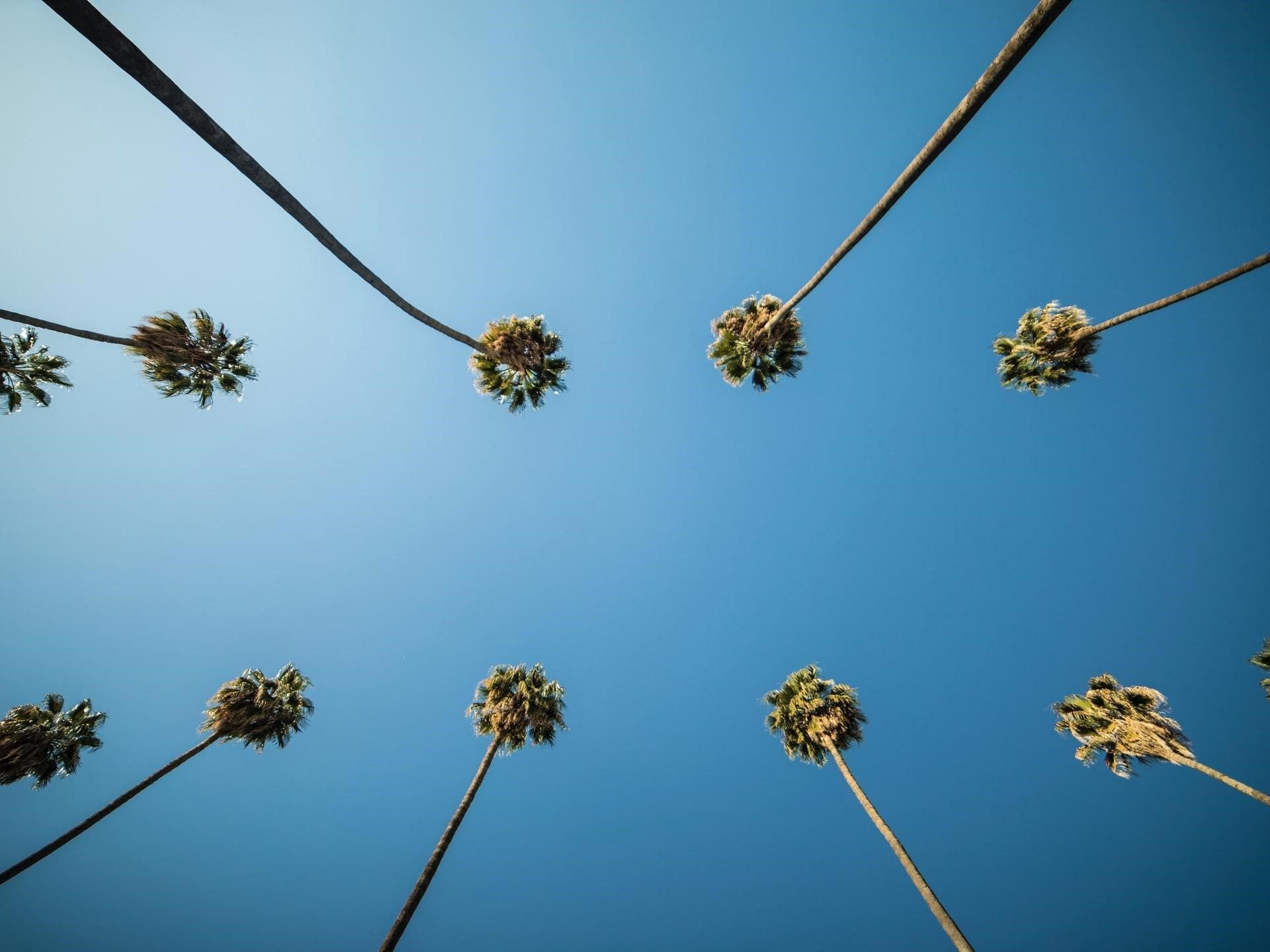 Blue skies los angeles