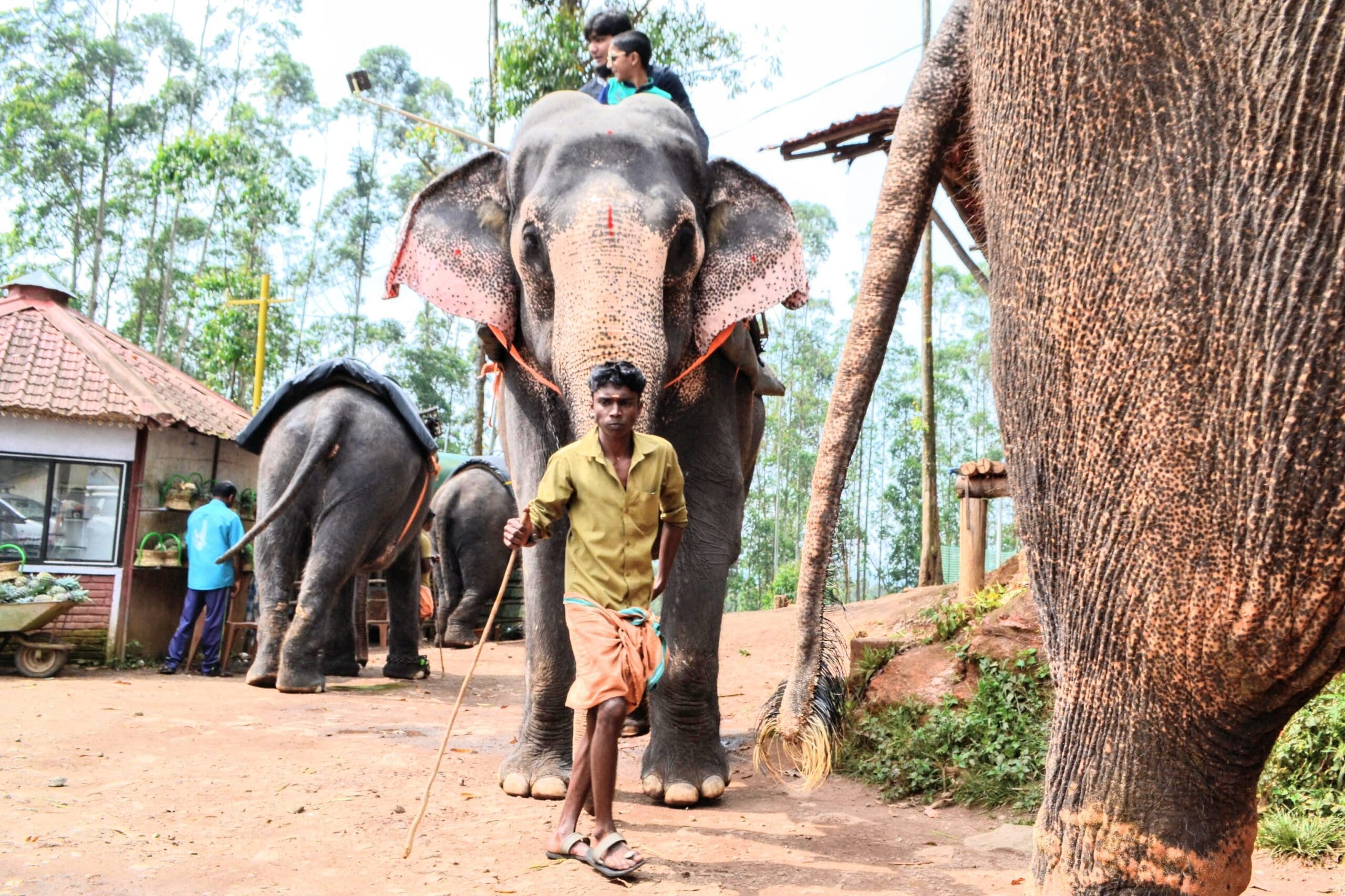 travel kerala