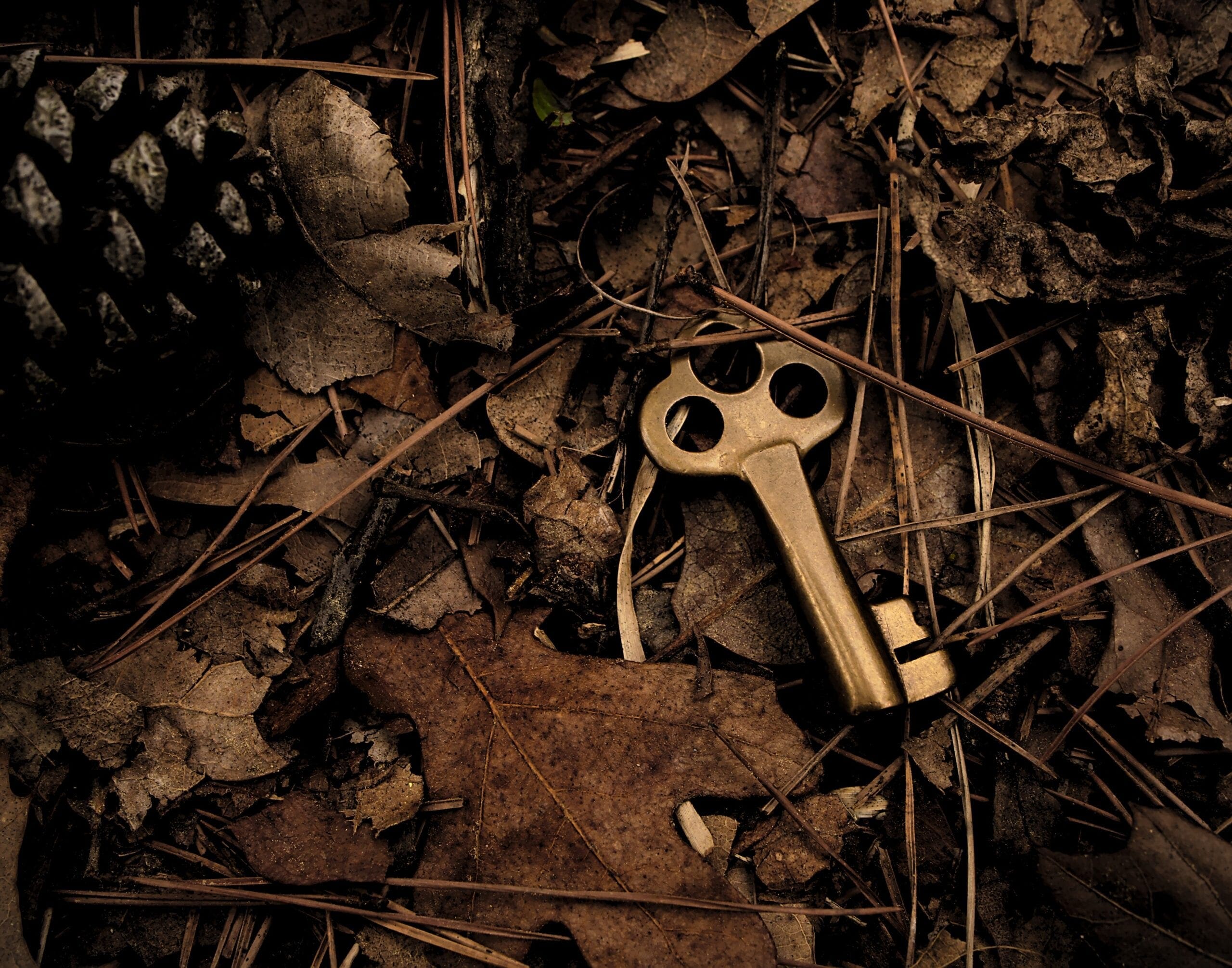 Photo by Michael Dziedzic skeleton key surround with dry leaves
