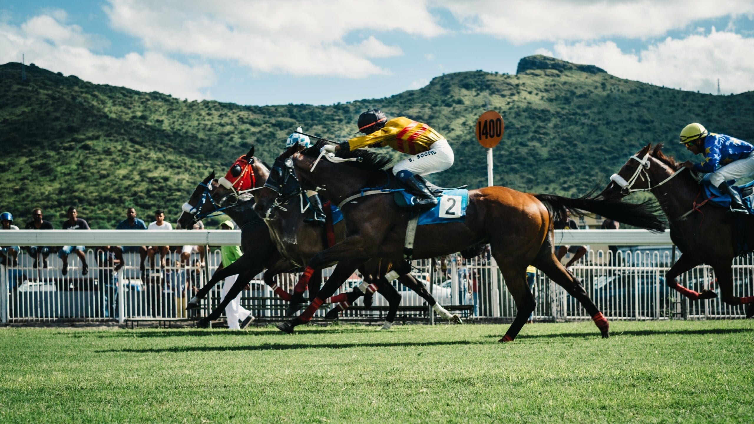 man riding horse in race horse racing