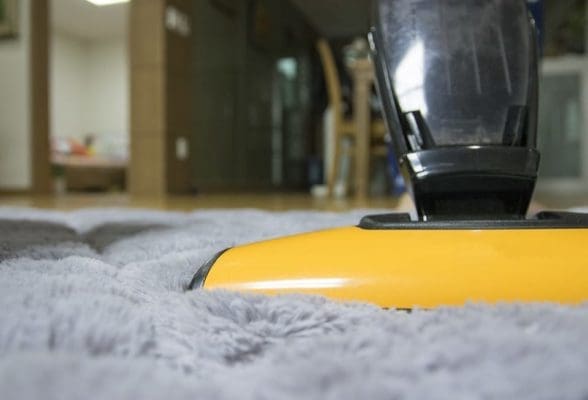 carpet cleaning