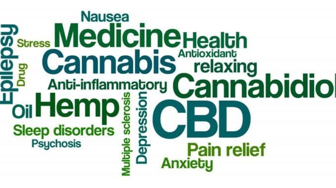 So, what exactly is a cannabinoid? Well, the simple answer to that question is that a cannabinoid is a chemical compound found in many different plant species but, most especially in the four species of cannabis plants. However, a more comprehensive answer would be to say that a cannabinoid is a complex organic molecule that is one of a class of diverse chemical compounds that acts on cannabinoid receptors in the human Endocannabinoid System and which can have a wide range of effects from relieving anxiety, depression and pain to inducing a feeling of deep relaxation and euphoria. In fact, the best known and most heavily researched of the 111 known cannabinoids found in the cannabis plant is Delta-9-Tetrahydrocannabinol (aka Δ9-THC) which is the compound that is primarily responsible for the psychoactive effects of cannabis. However, the effects of THC are believed to be moderated by the other cannabinoids contained in the plant such as CBD and CBN. Why do cannabis plants produce cannabinoids? So, now that you know what a cannabinoid is, you may be wondering “why do cannabis plants produce cannabinoids?” Well, the answer that question is that if you were to look closely at a mature cannabis plant, you would see that it was covered by small protrusions called “trichomes” which are glands that manufacture and secrete the plant’s various cannabinoids. Therefore, biologists believe that cannabis plants produce cannabinoids as a means of protecting the plant from excessive heat and ultra violet light as well as to discourage predation from voracious insects and herbivores in addition to protecting it from disease. Therefore, without cannabinoids, cannabis plants would have no defense against the harmful effects of ultraviolet light, nor any means of defending themselves against predation.